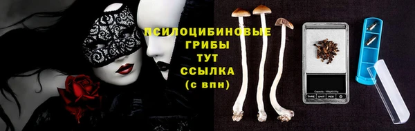 СК Абаза
