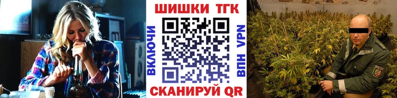 omg вход  Гаджиево  Канабис планчик 